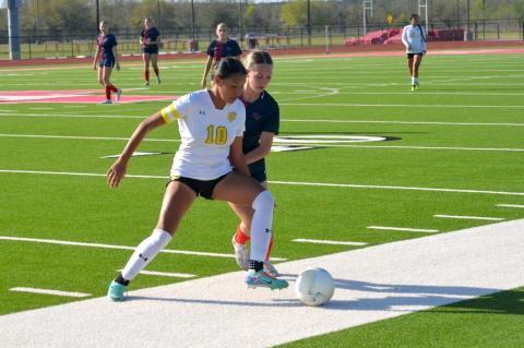 Article Image Alt Text