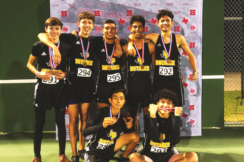 Article Image Alt Text