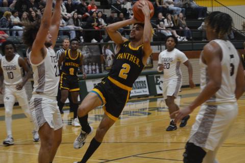 Article Image Alt Text