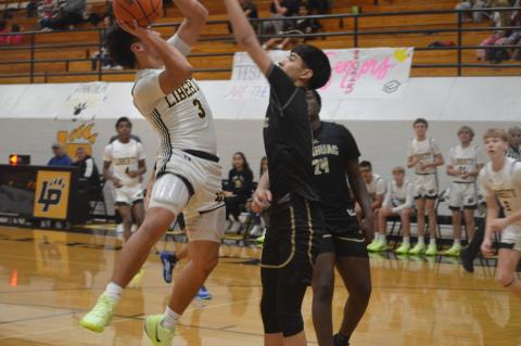 Article Image Alt Text