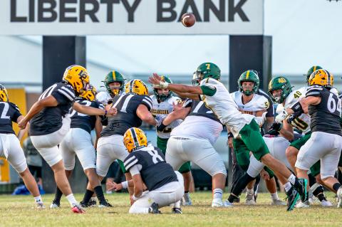 Article Image Alt Text