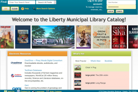 Article Image Alt Text