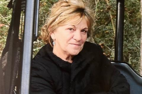 Article Image Alt Text