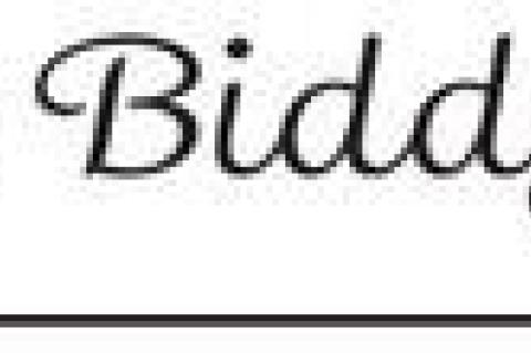 Article Image Alt Text