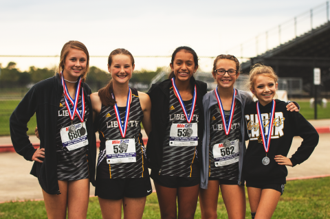 Article Image Alt Text