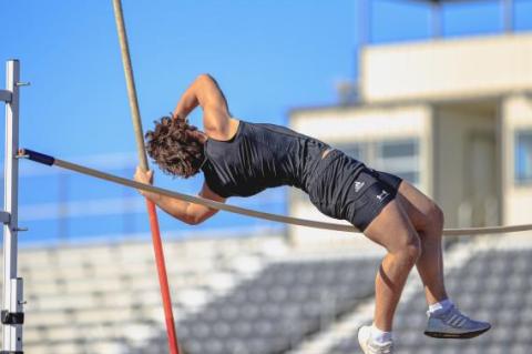 Article Image Alt Text