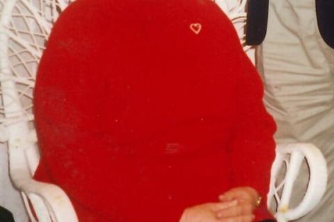 Article Image Alt Text