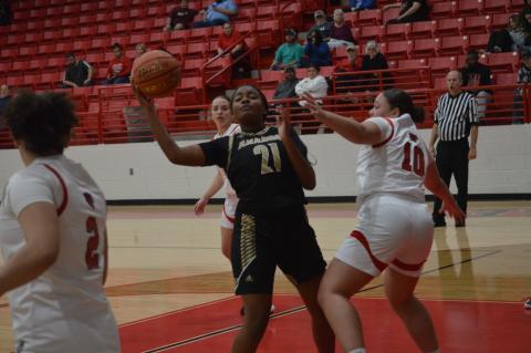 Article Image Alt Text