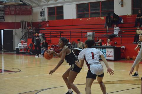 Article Image Alt Text