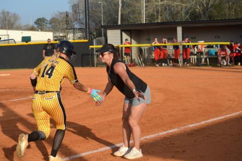 Article Image Alt Text