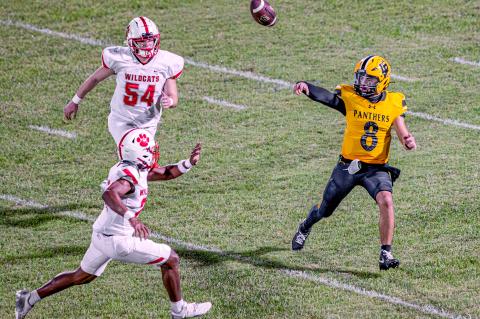 Article Image Alt Text