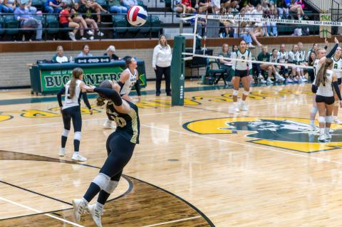 Article Image Alt Text