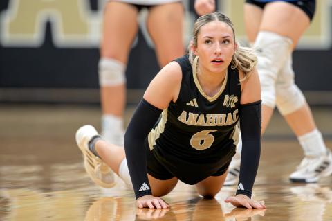 Article Image Alt Text