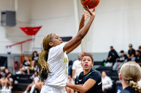 Article Image Alt Text