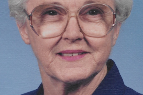 Article Image Alt Text