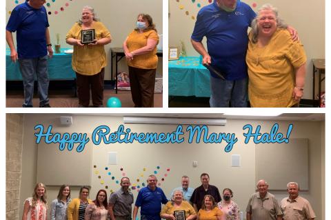 Article Image Alt Text