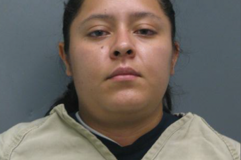 Article Image Alt Text