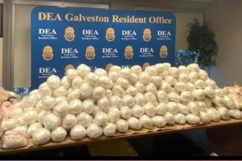 Article Image Alt Text