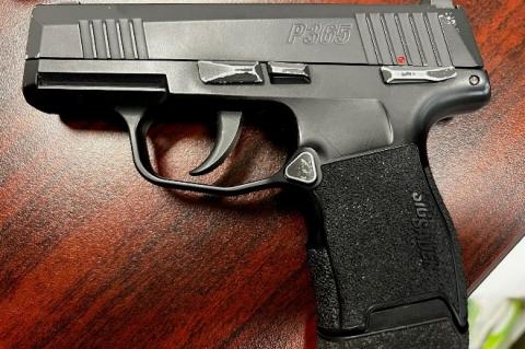 Article Image Alt Text