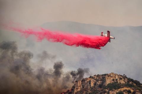 Article Image Alt Text