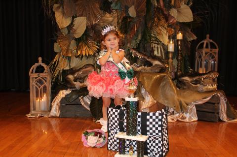 Article Image Alt Text