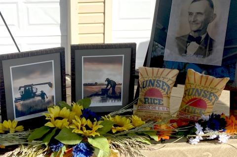 Article Image Alt Text