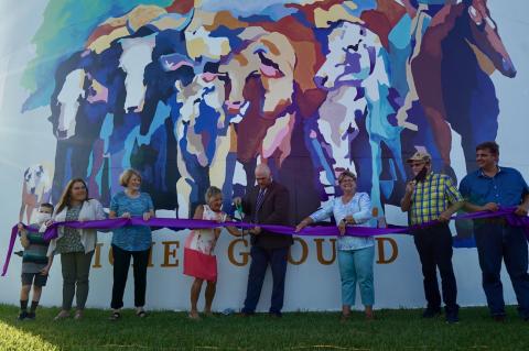 Article Image Alt Text