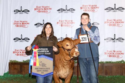 Article Image Alt Text