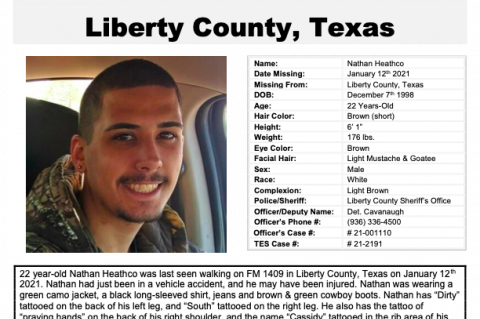 Article Image Alt Text