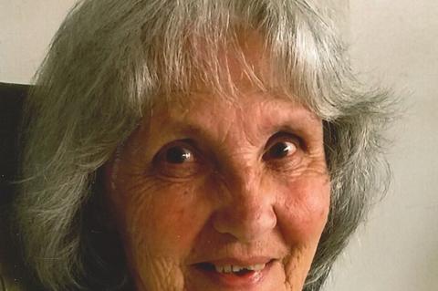 Article Image Alt Text