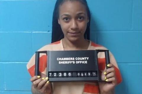 Article Image Alt Text