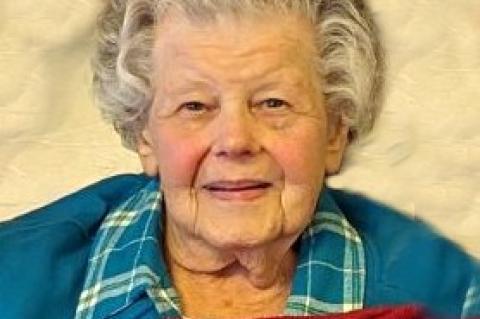 Article Image Alt Text