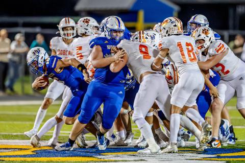 Article Image Alt Text