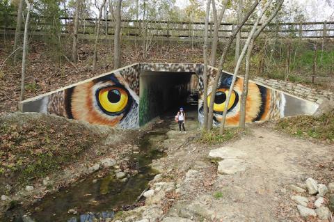 Article Image Alt Text