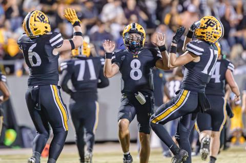 Article Image Alt Text