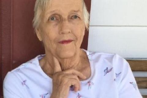 Article Image Alt Text