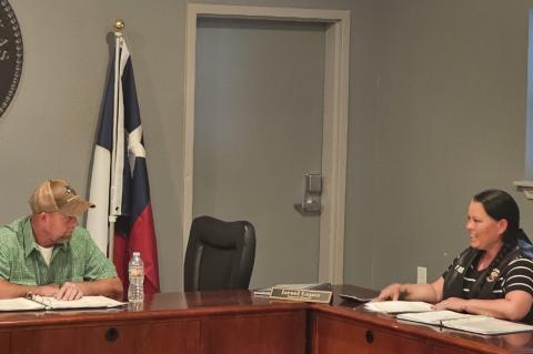 Article Image Alt Text