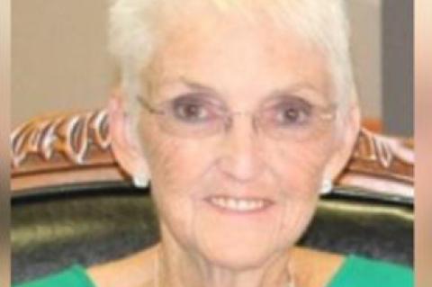 Article Image Alt Text