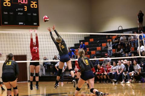 Article Image Alt Text