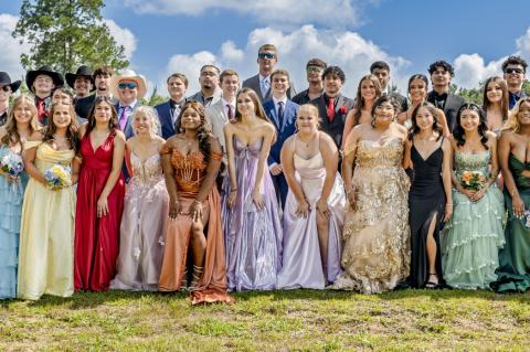 Article Image Alt Text