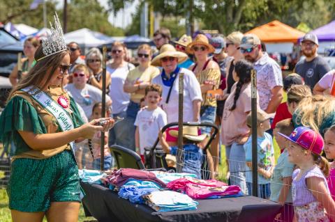 Article Image Alt Text