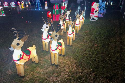 Article Image Alt Text