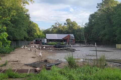 Article Image Alt Text