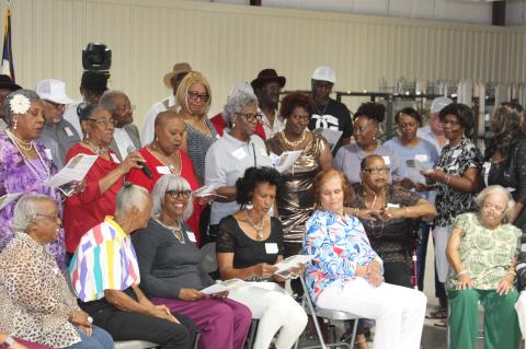 Article Image Alt Text