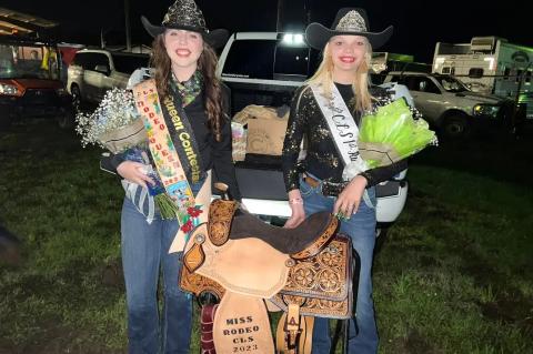 Article Image Alt Text