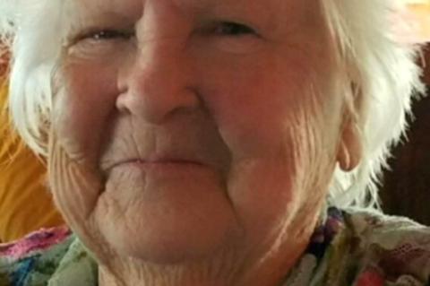 Article Image Alt Text