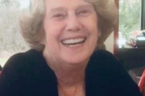 Article Image Alt Text