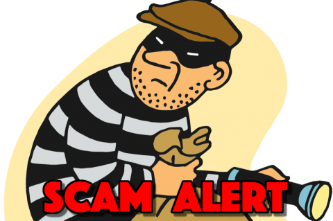 Article Image Alt Text