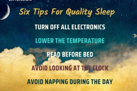 Article Image Alt Text