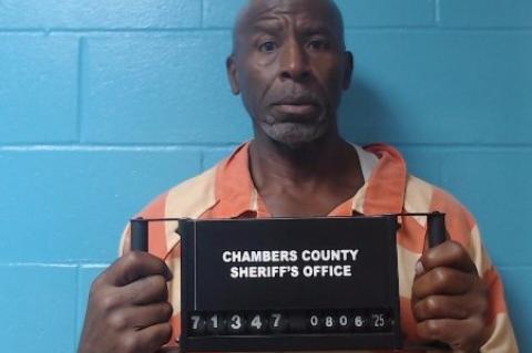 Article Image Alt Text